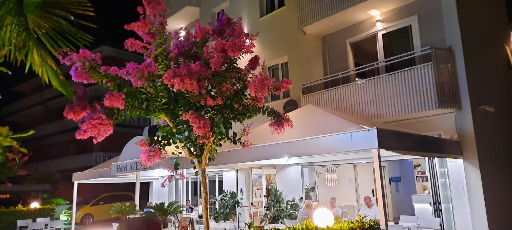 Hotel Atenea Golden Star カオルレ エクステリア 写真
